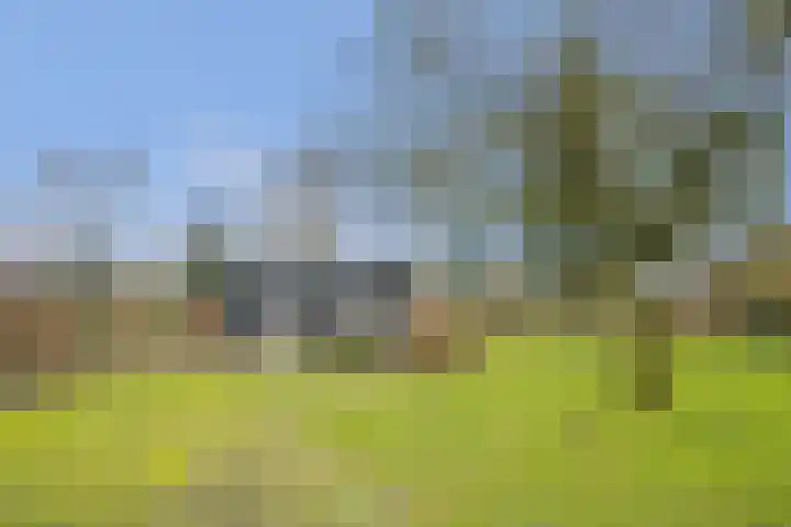 Dorpsstraat 17 Ledeacker thumbnail 50