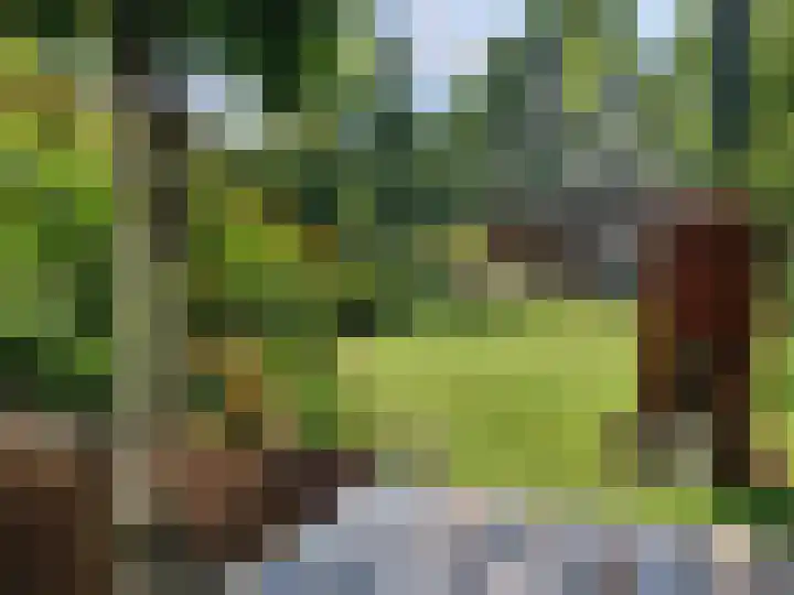 Dorpsstraat 17 Ledeacker thumbnail 54