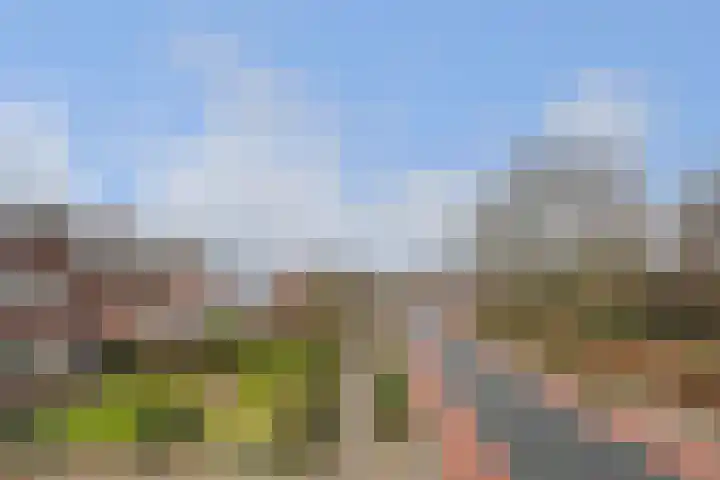 Dorpsstraat 17 Ledeacker thumbnail 61