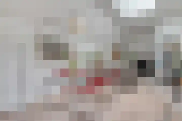 Dorpsstraat 17 Liempde thumbnail 22