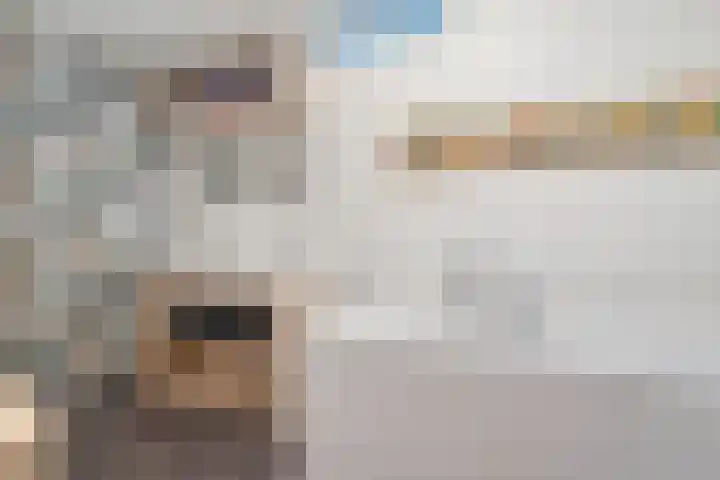 Dorpsstraat 17 Liempde thumbnail 33
