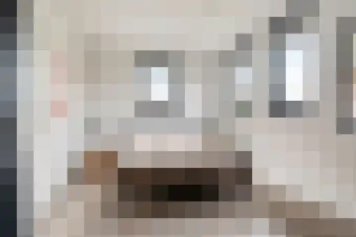 Dorpsstraat 17 Liempde thumbnail 39