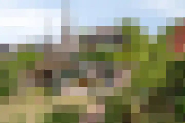 Dorpsstraat 17 Liempde thumbnail 51