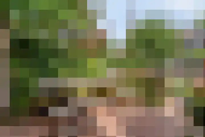 Dorpsstraat 17 Liempde thumbnail 52