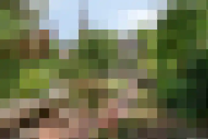 Dorpsstraat 17 Liempde thumbnail 53