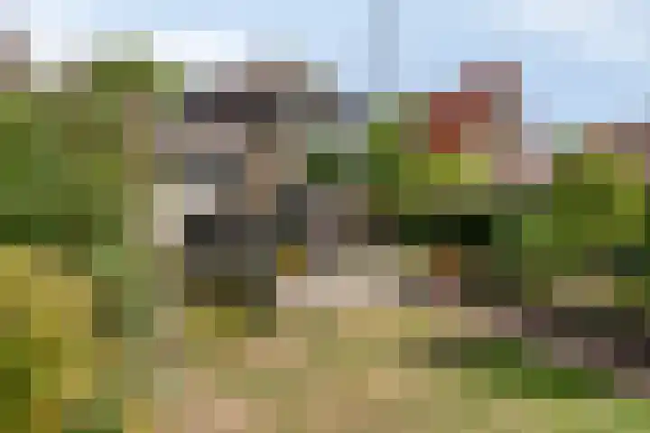 Dorpsstraat 17 Liempde thumbnail 55