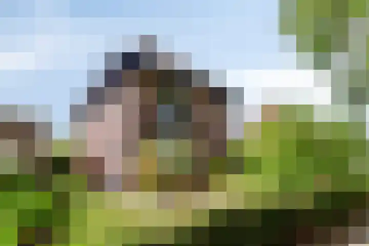 Dorpsstraat 17 Liempde thumbnail 6