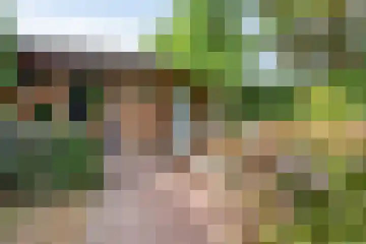 Dorpsstraat 17 Liempde thumbnail 60