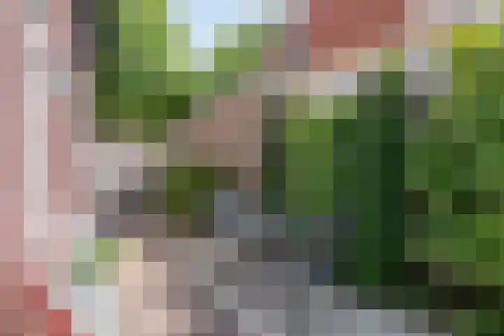 Dorpsstraat 17 Liempde thumbnail 61