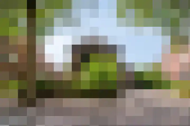 Dorpsstraat 17 Liempde thumbnail 62