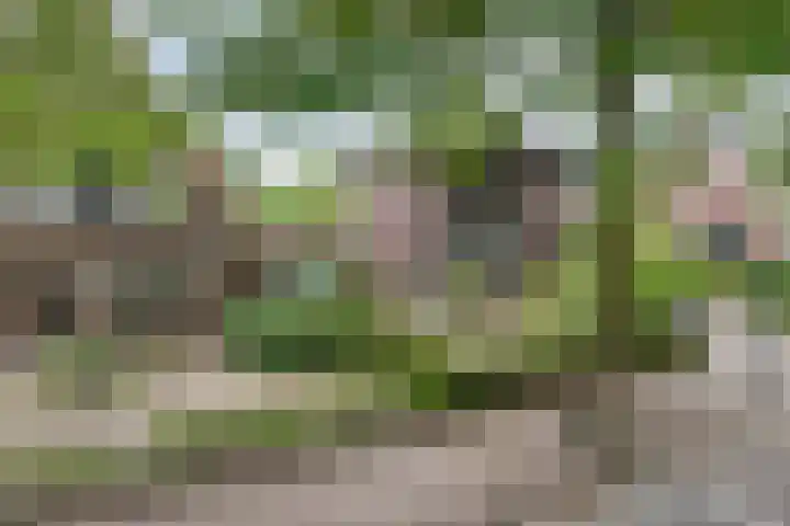 Dorpsstraat 17 Liempde thumbnail 63