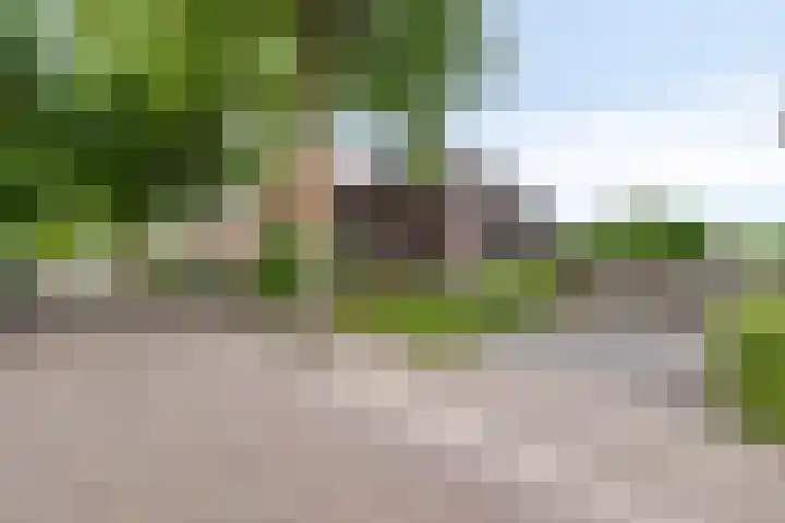 Dorpsstraat 17 Liempde thumbnail 64