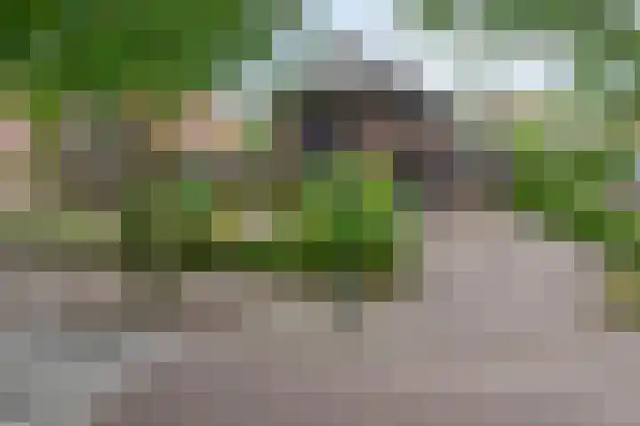 Dorpsstraat 17 Liempde thumbnail 7