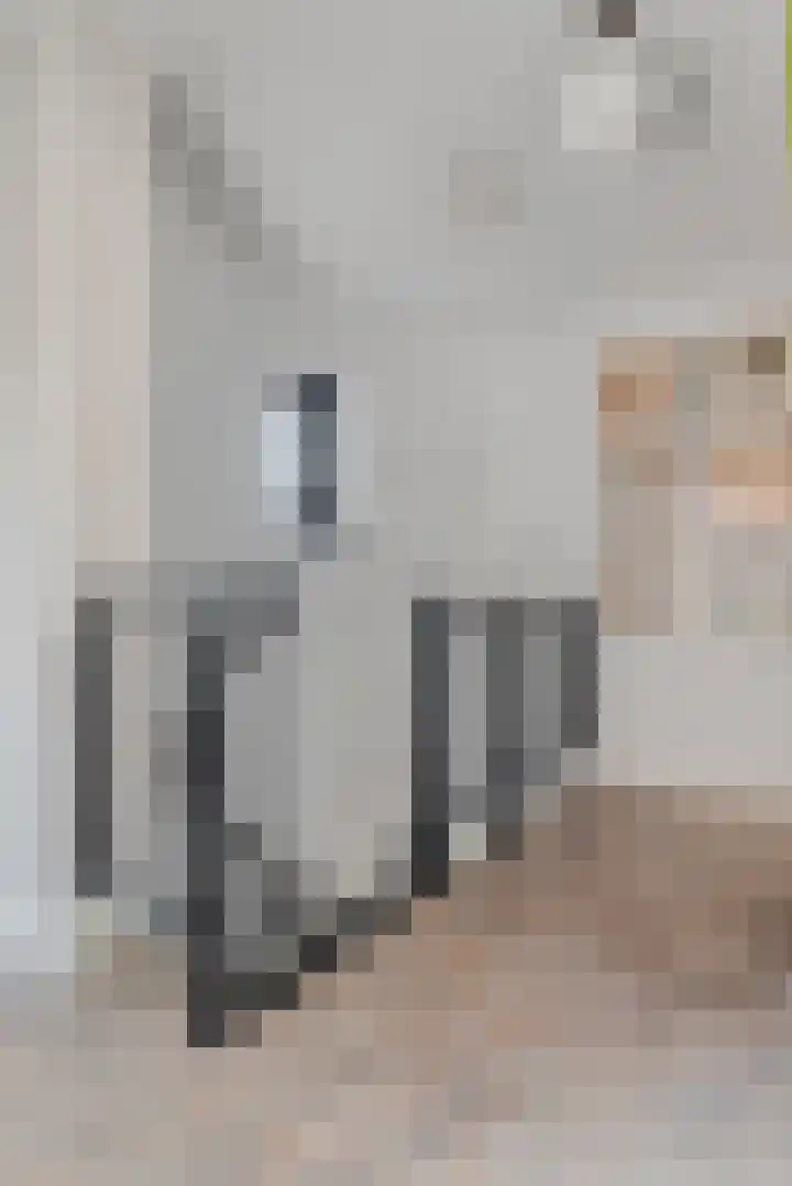 Dorpsstraat 17 Liempde thumbnail 71