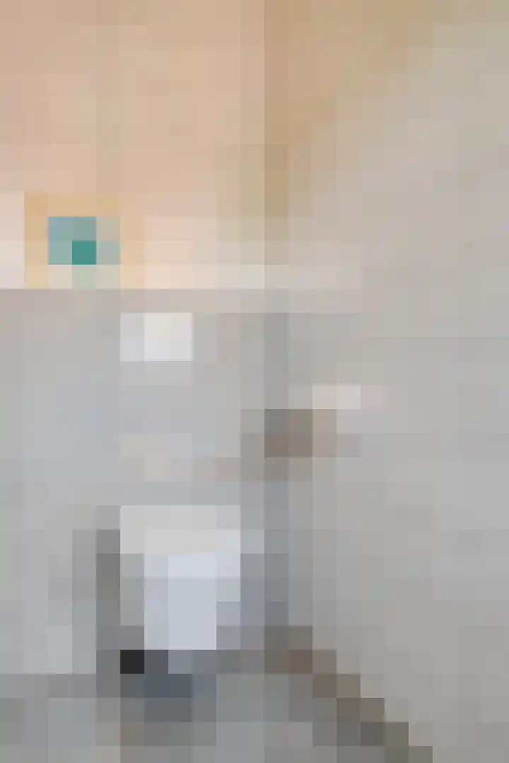Dorpsstraat 17 Liempde thumbnail 72