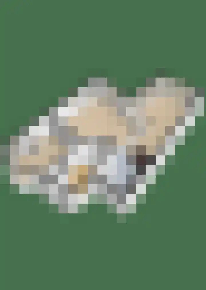 Dorpsstraat 17 Liempde thumbnail 75