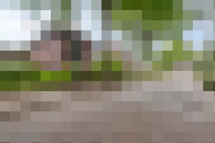 Dorpsstraat 17 Liempde thumbnail 8