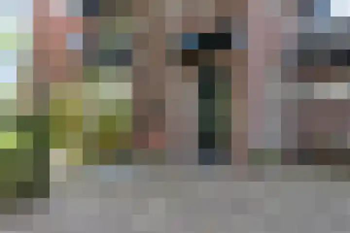 Dorpsstraat 17 Liempde thumbnail 9