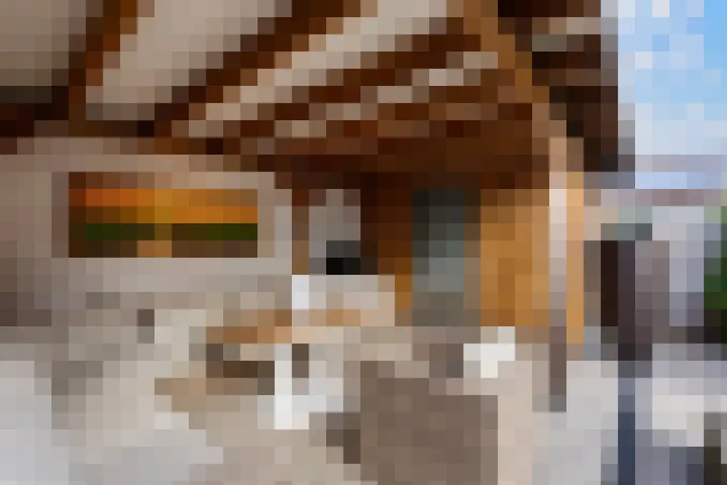 Dorpsstraat 17 Sint Maarten thumbnail 23