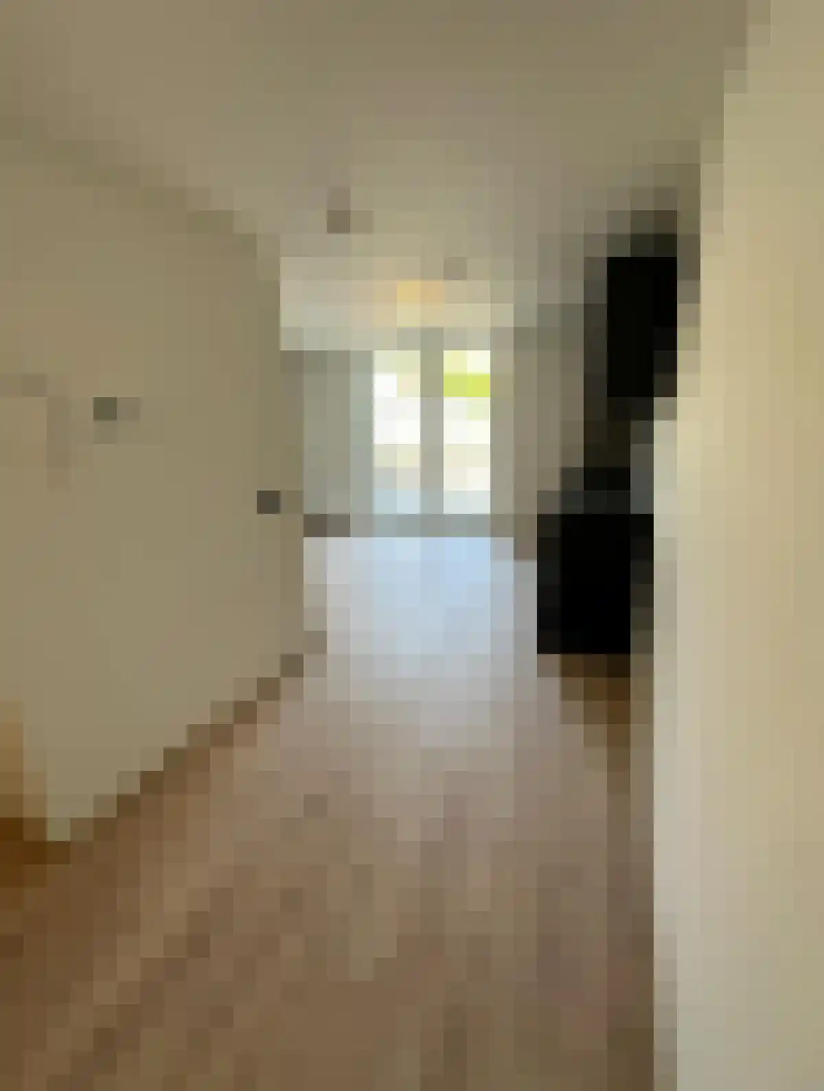 Dorpsstraat 17 Twello thumbnail 4
