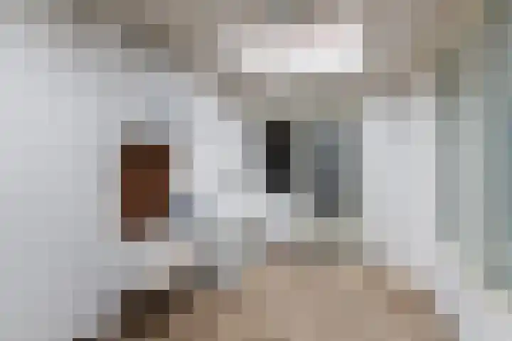 Dorpsstraat 17 Vleuten thumbnail 8