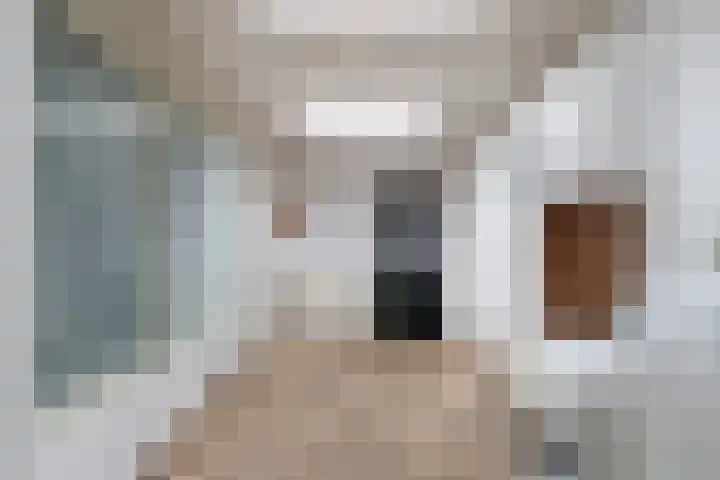 Dorpsstraat 17 Vleuten thumbnail 9