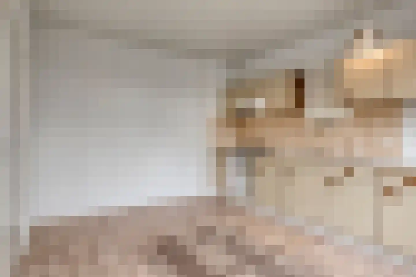 Dorpsstraat 17 Wanroij thumbnail 19