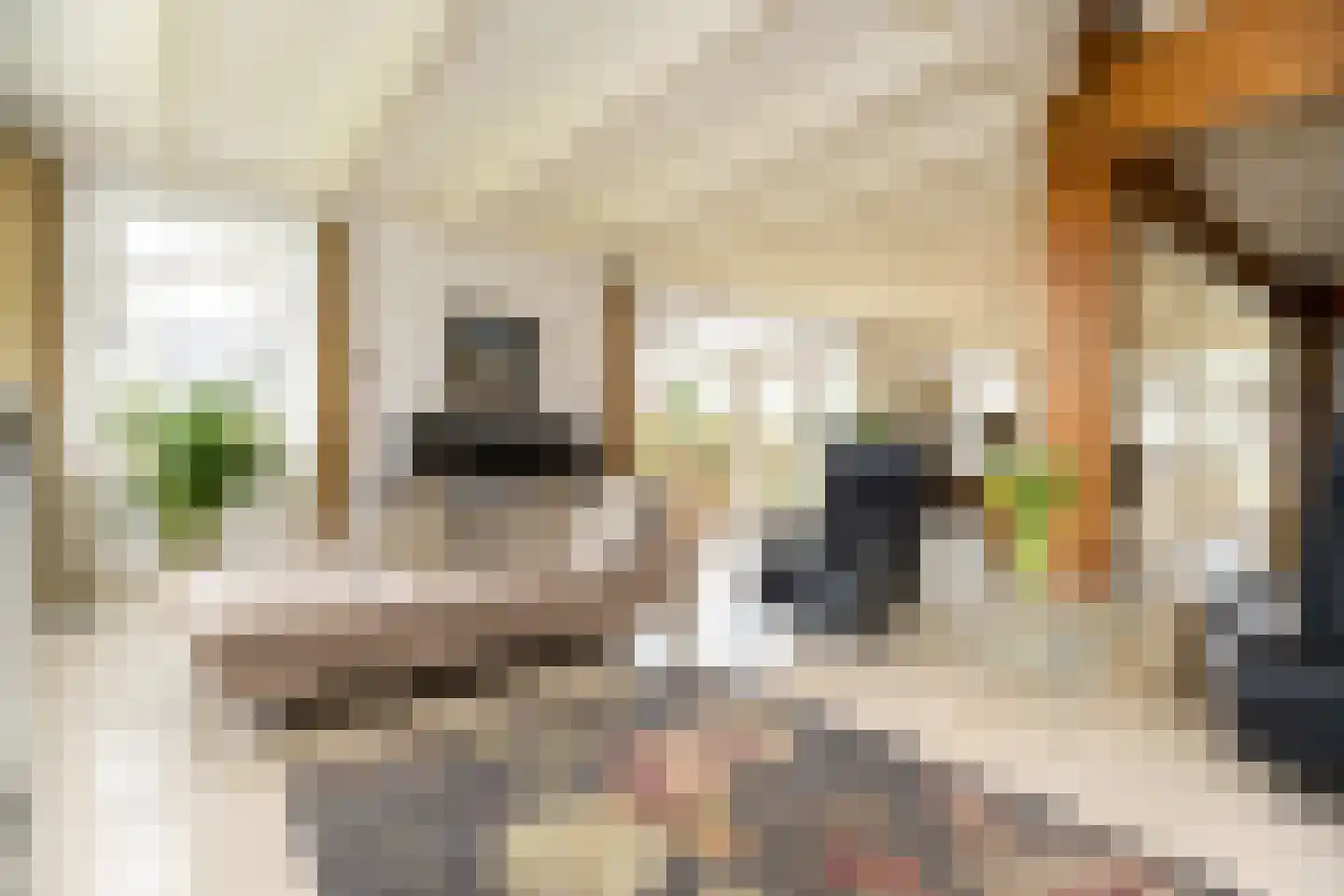 Dorpsstraat 17 Zwaag thumbnail 13