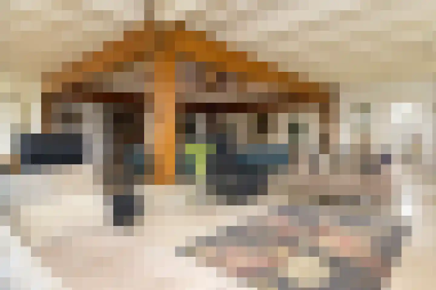 Dorpsstraat 17 Zwaag thumbnail 14