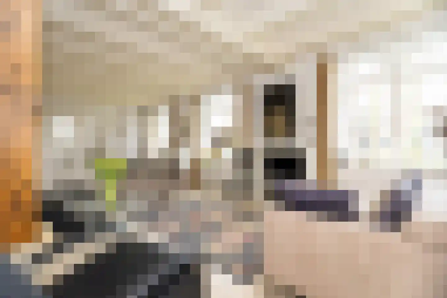 Dorpsstraat 17 Zwaag thumbnail 15