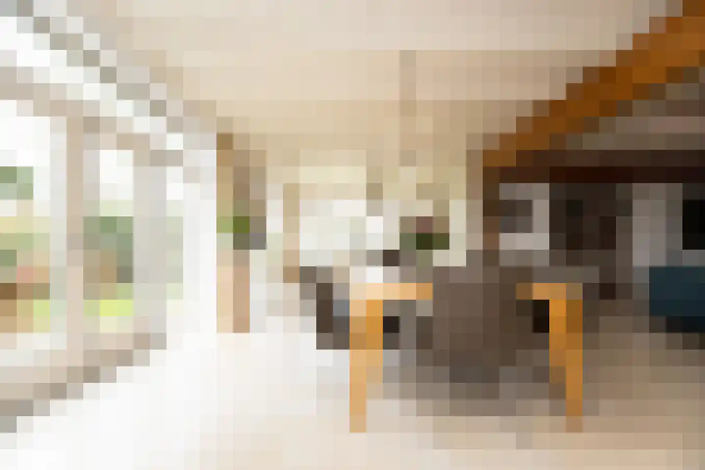 Dorpsstraat 17 Zwaag thumbnail 16
