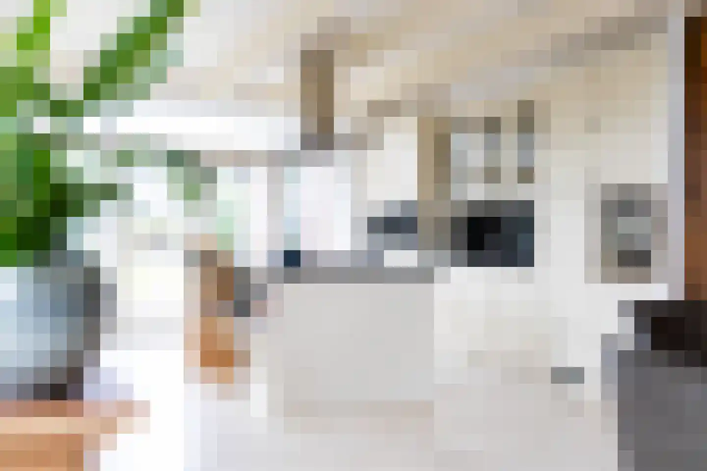 Dorpsstraat 17 Zwaag thumbnail 20