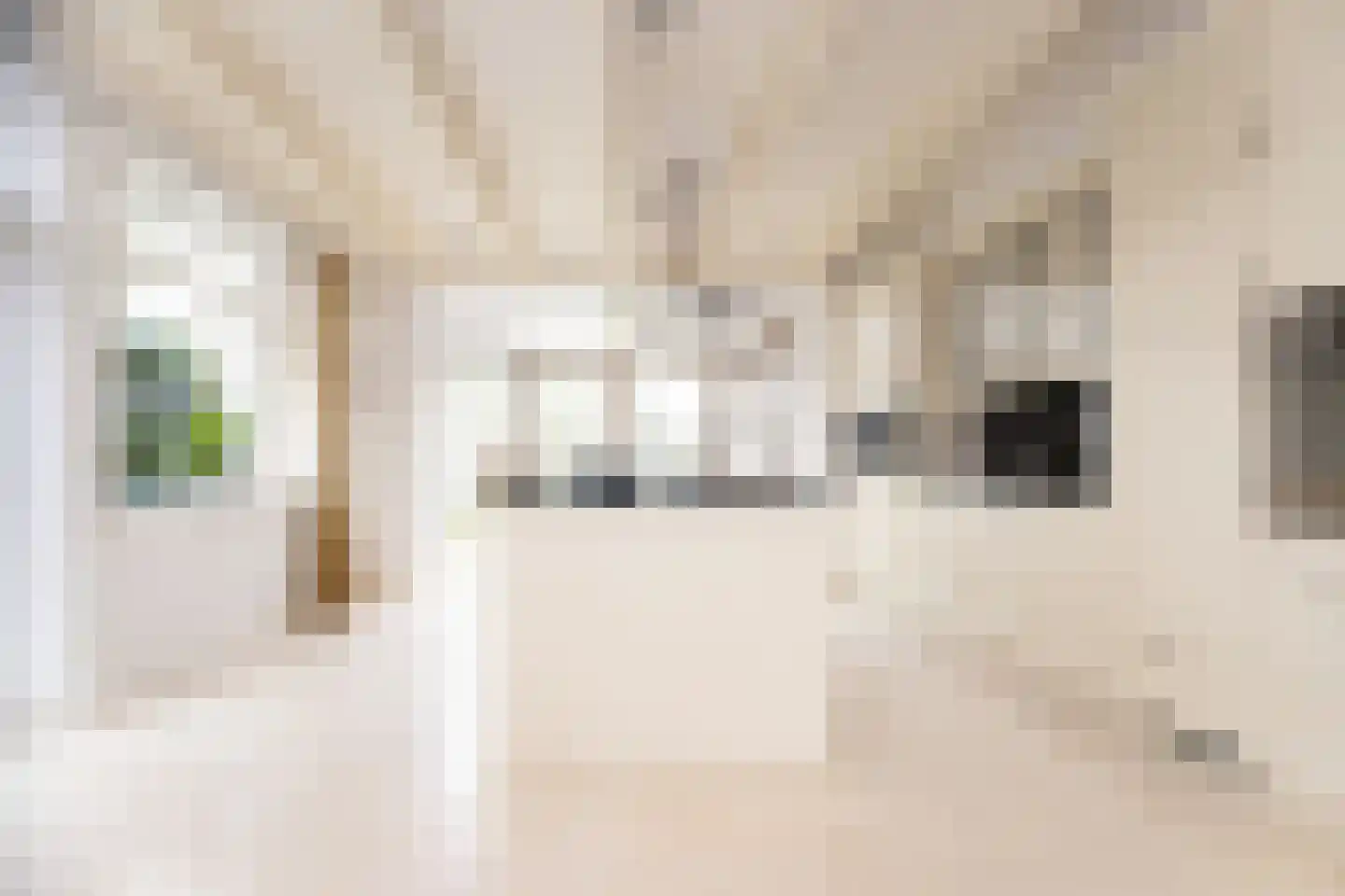 Dorpsstraat 17 Zwaag thumbnail 21