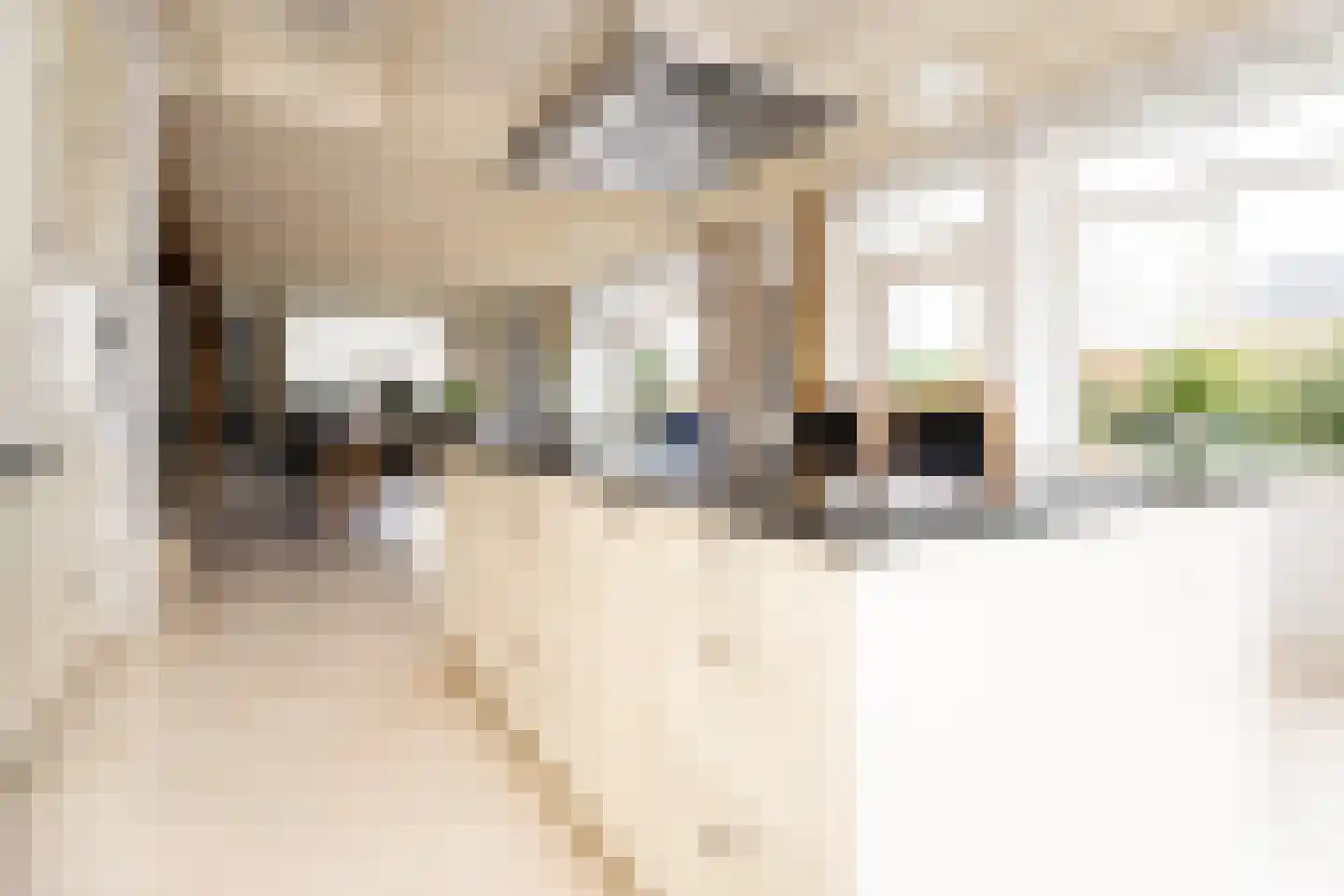 Dorpsstraat 17 Zwaag thumbnail 25