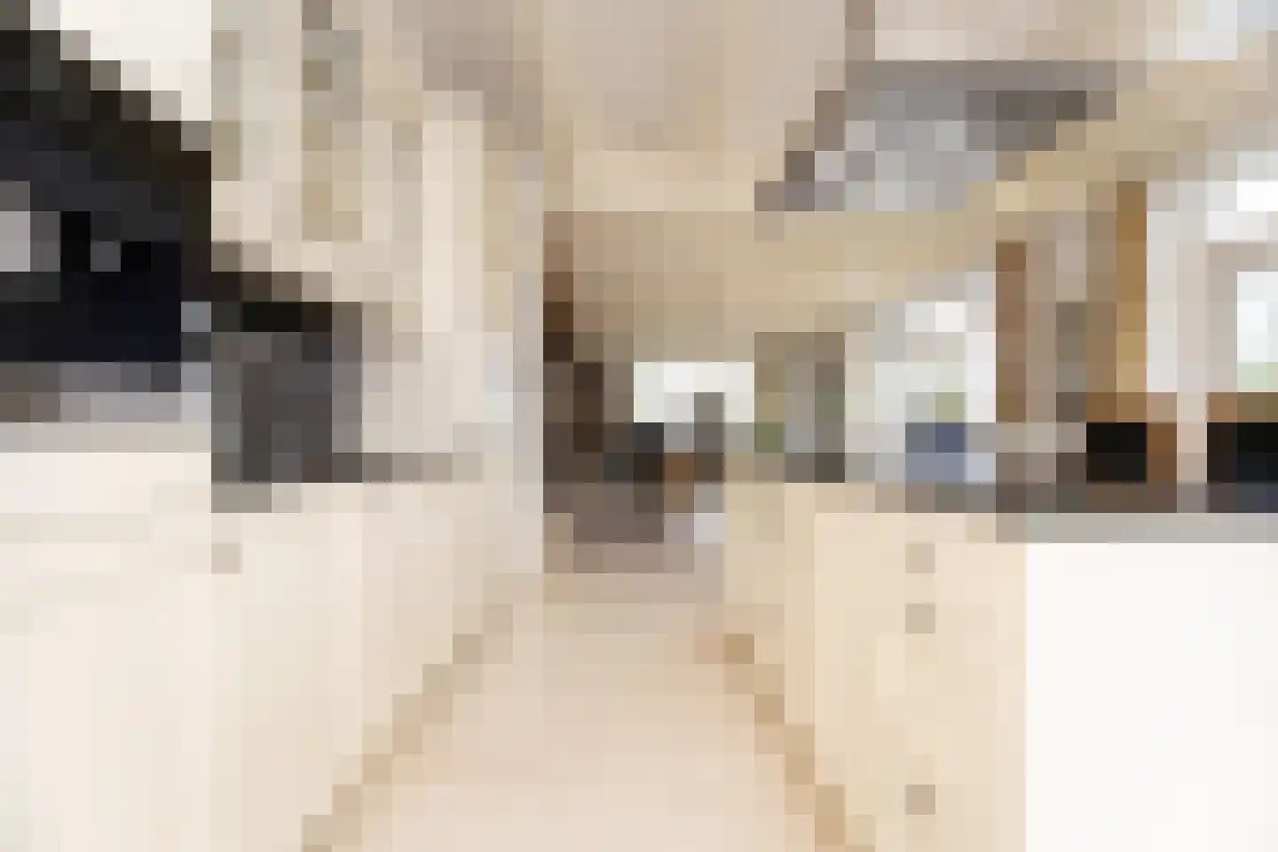 Dorpsstraat 17 Zwaag thumbnail 28