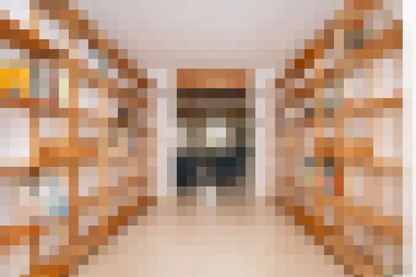 Dorpsstraat 17 Zwaag thumbnail 41