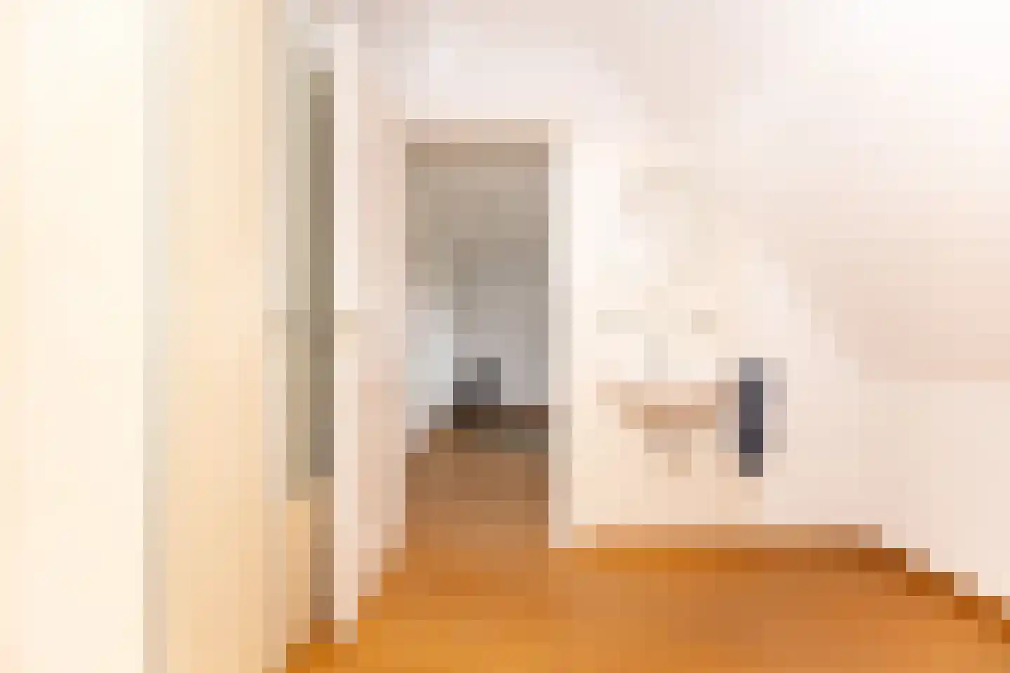 Dorpsstraat 17 Zwaag thumbnail 58