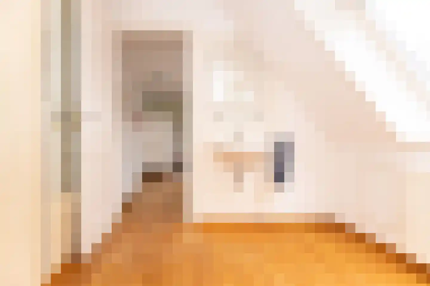 Dorpsstraat 17 Zwaag thumbnail 60