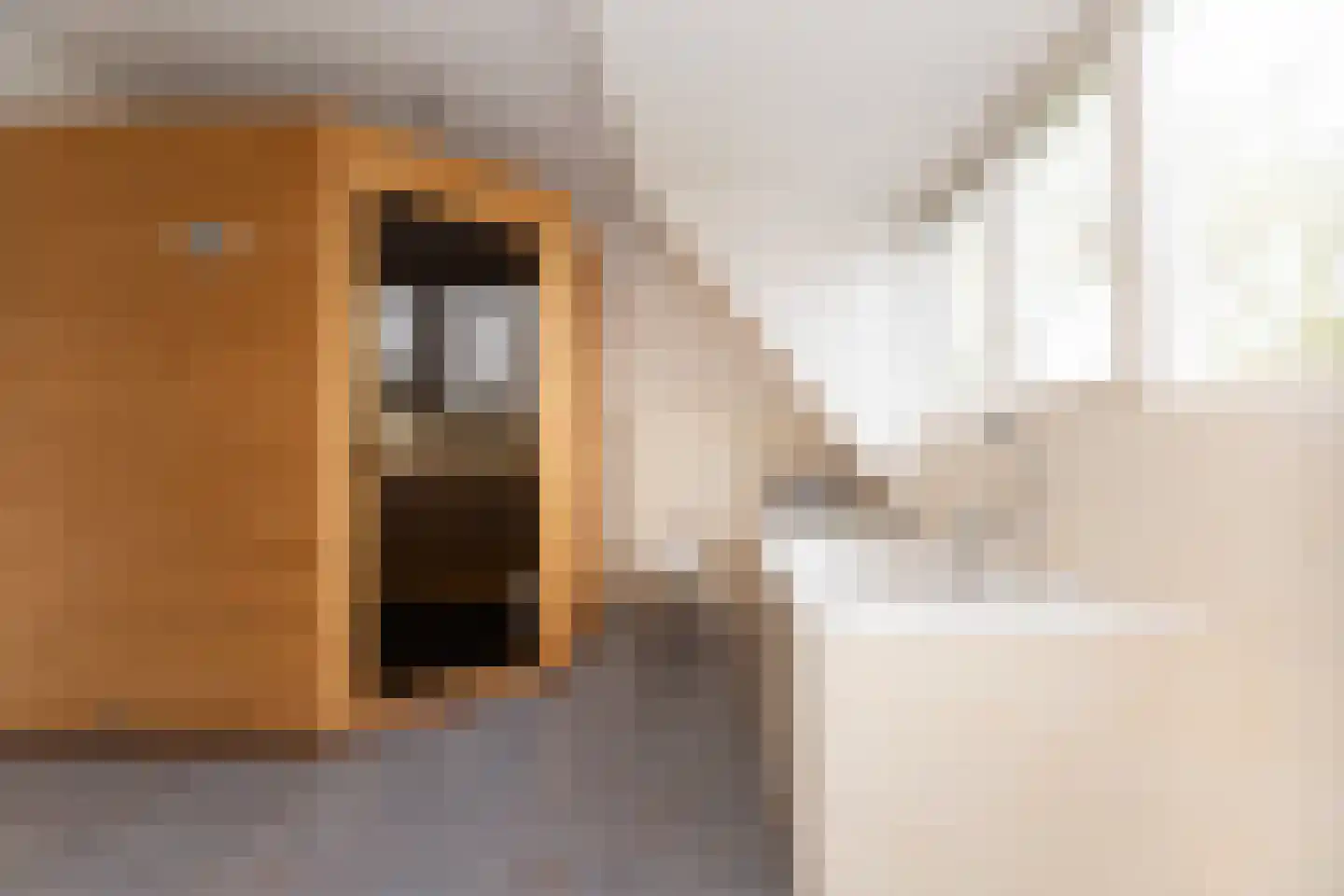 Dorpsstraat 17 Zwaag thumbnail 63
