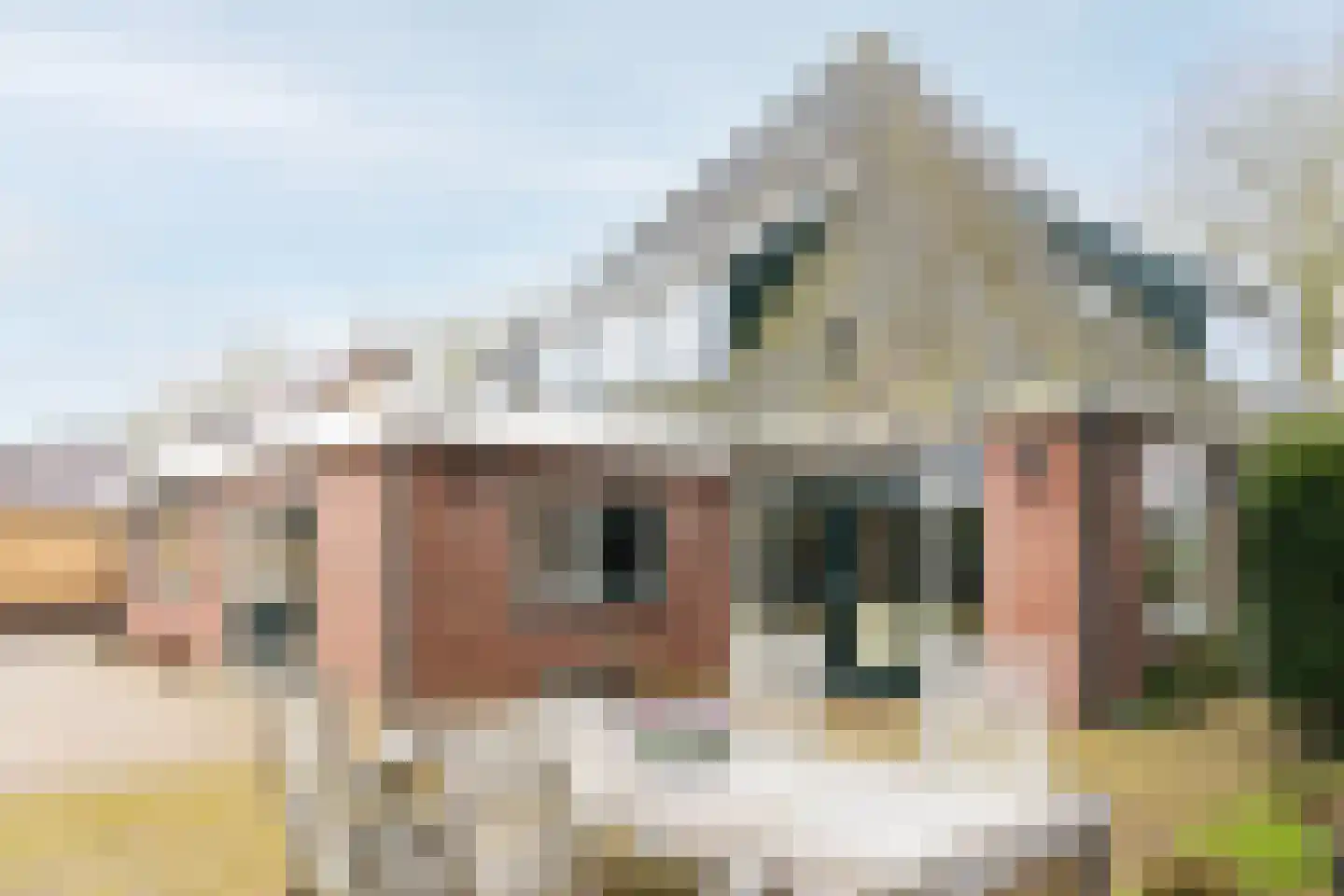 Dorpsstraat 17 Zwaag thumbnail 71