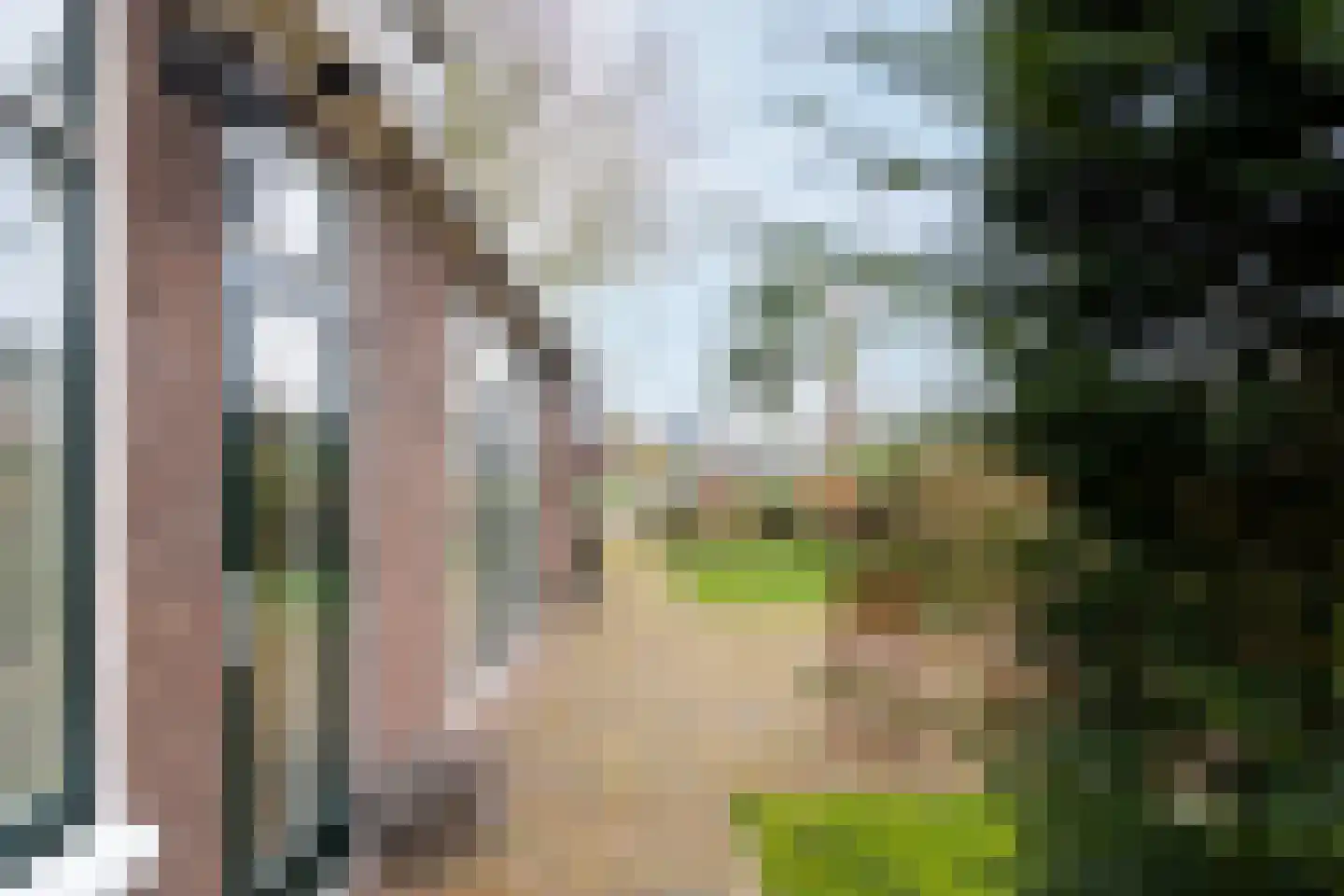 Dorpsstraat 17 Zwaag thumbnail 83