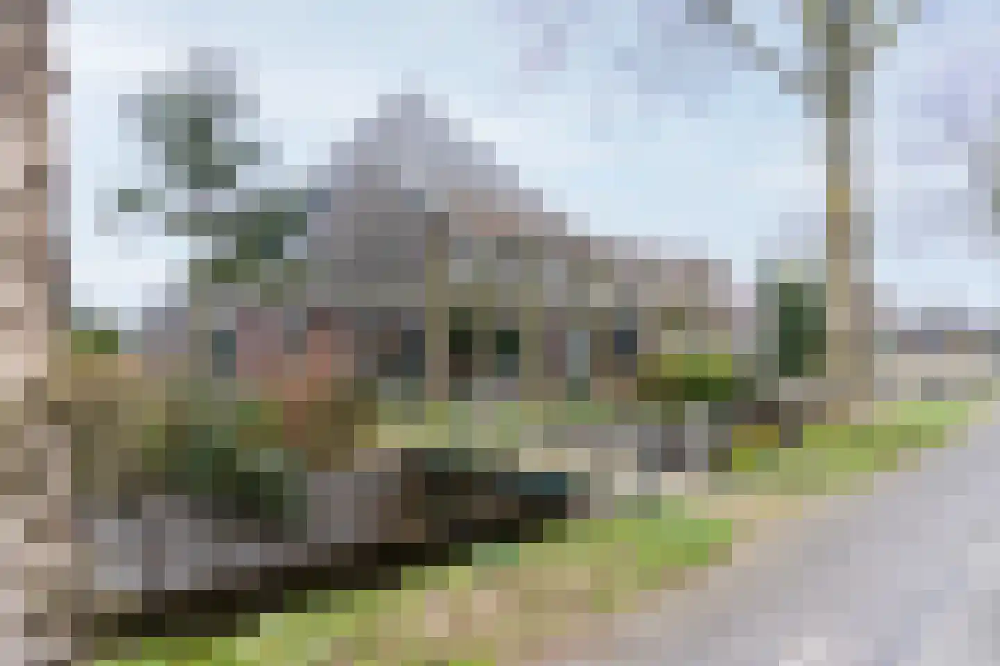 Dorpsstraat 17 Zwaag thumbnail 88