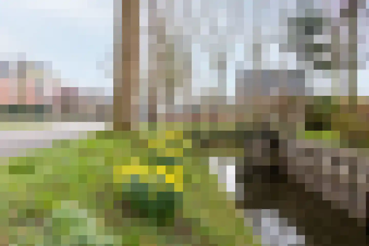 Dorpsstraat 17 Zwaag thumbnail 90
