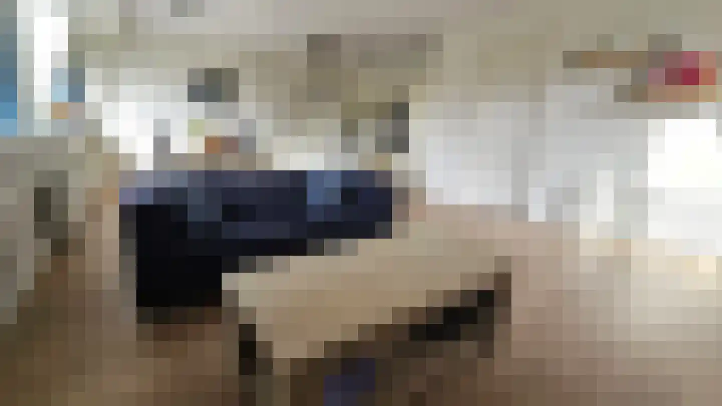 Dorpsstraat 172 L Assendelft thumbnail 12