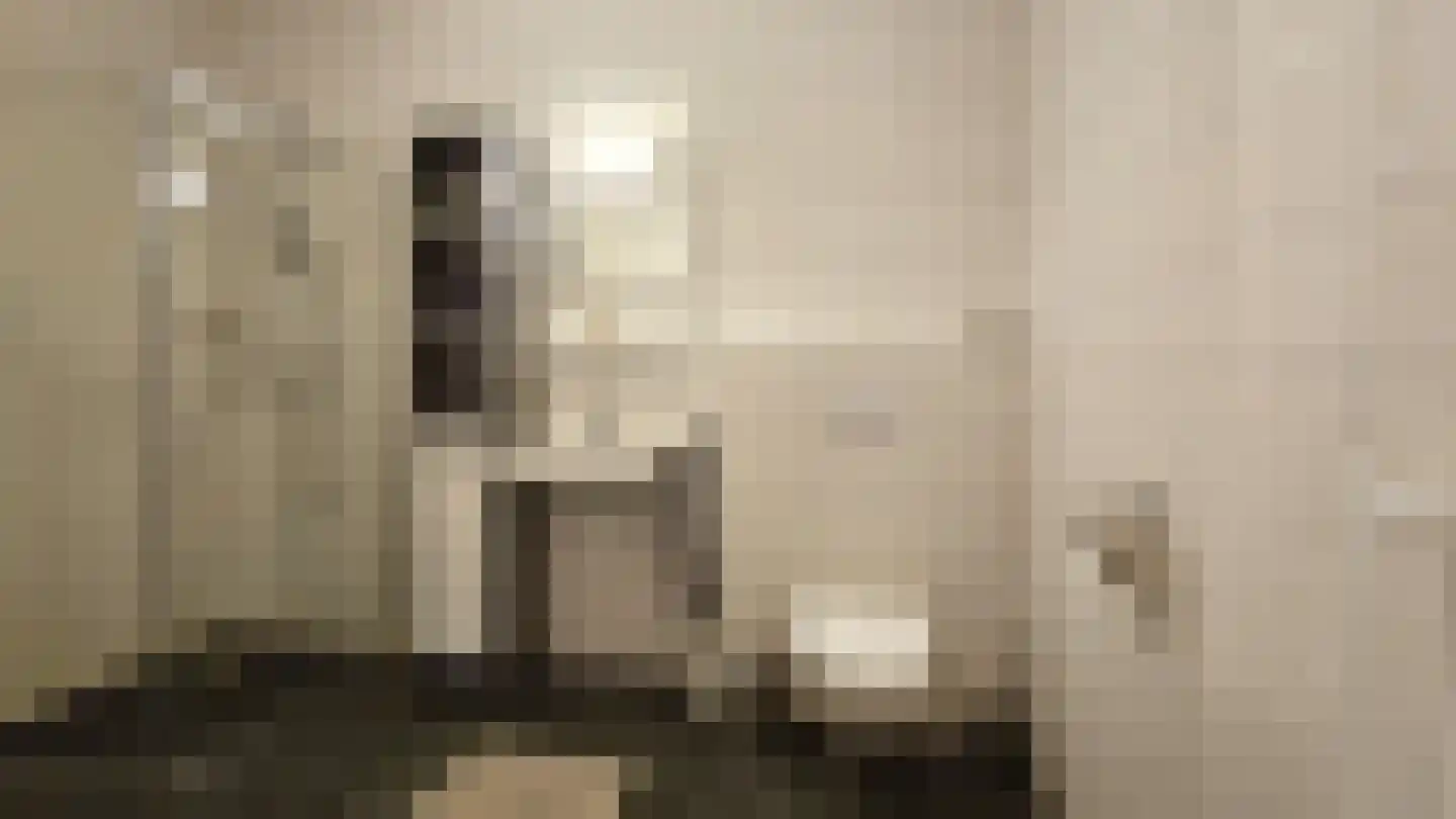 Dorpsstraat 172 L Assendelft thumbnail 22