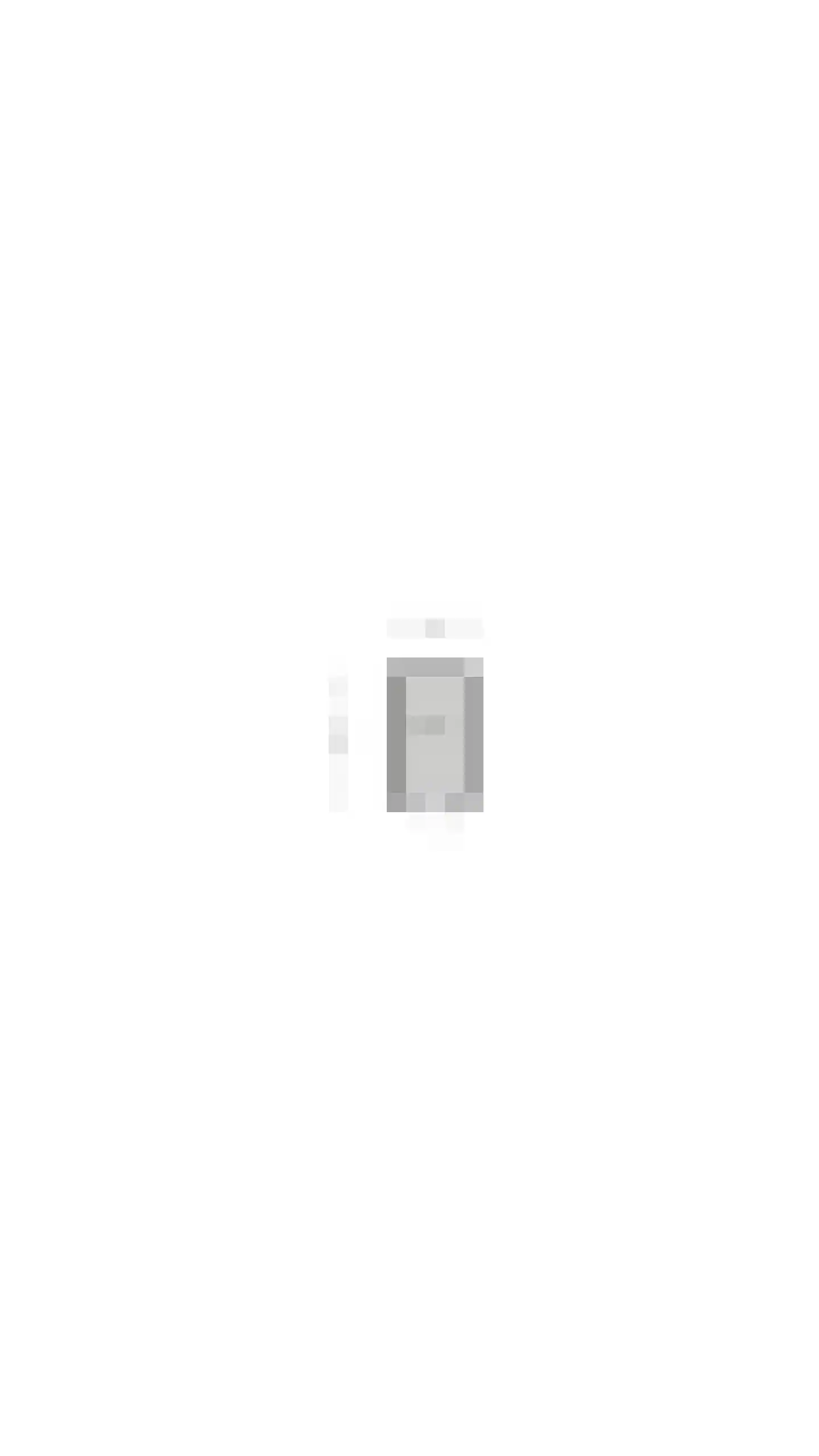 Dorpsstraat 172 L Assendelft thumbnail 31
