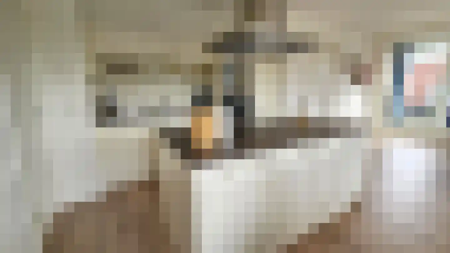 Dorpsstraat 172 L Assendelft thumbnail 4