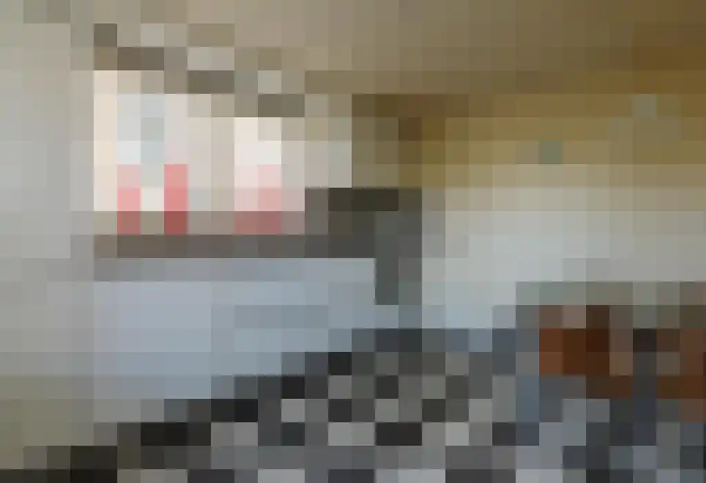 Dorpsstraat 174 Zevenhuizen thumbnail 9