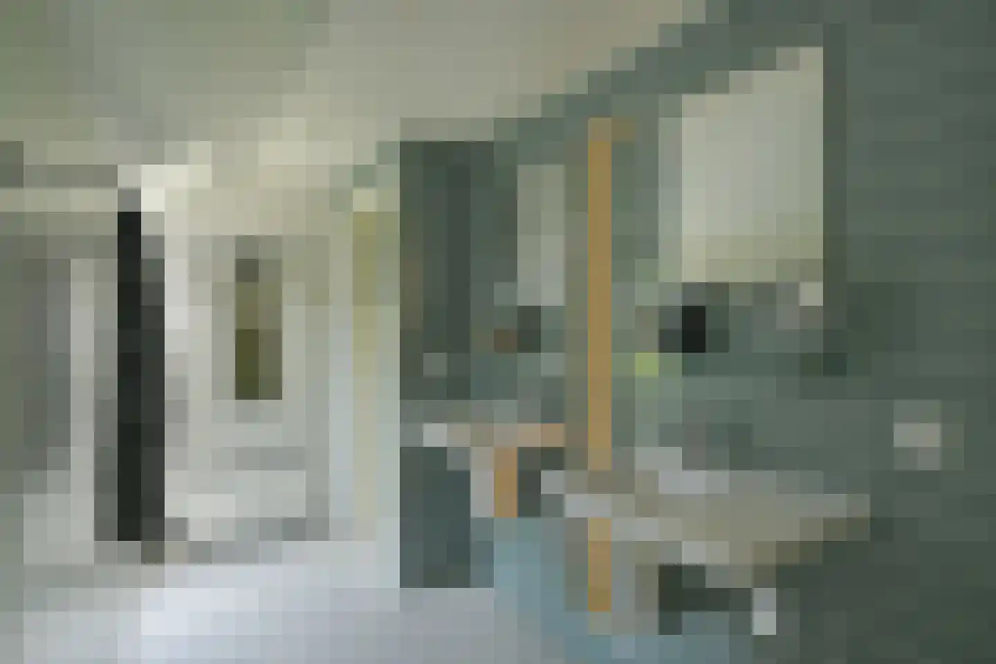 Dorpsstraat 175 Renkum thumbnail 32