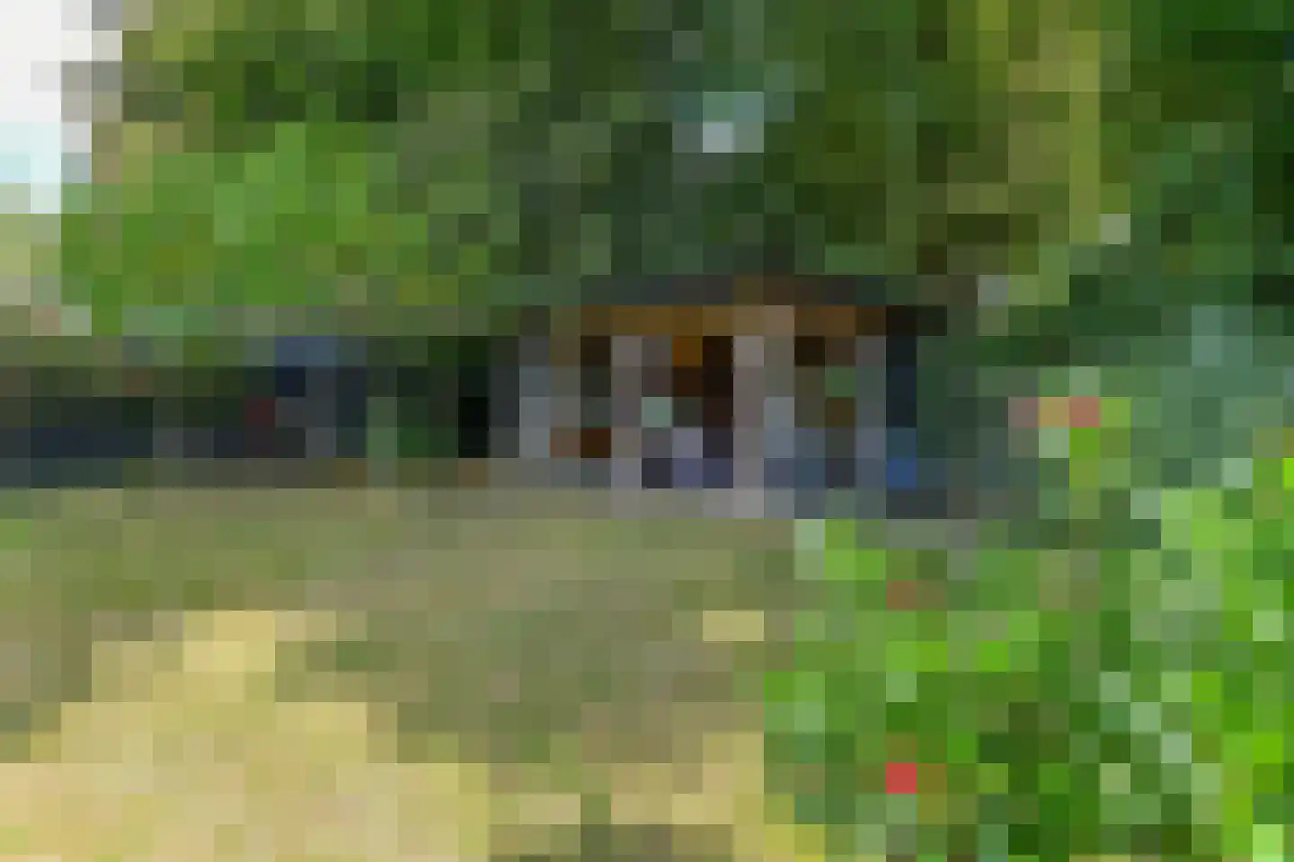 Dorpsstraat 175 Renkum thumbnail 47